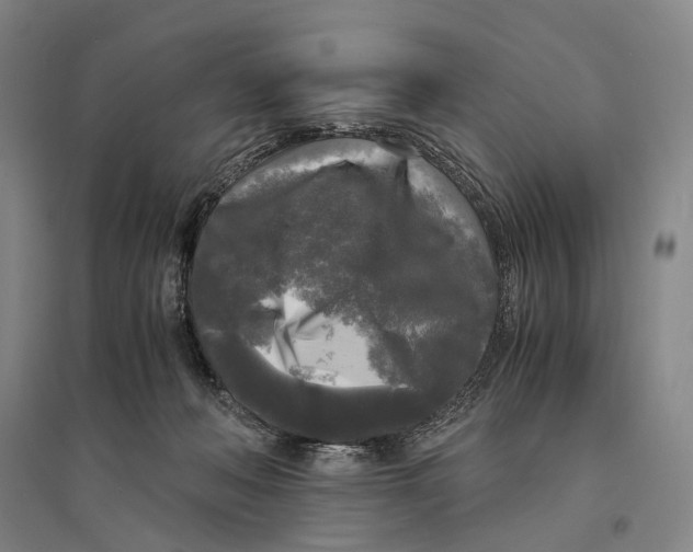 X0000095520222200801111443