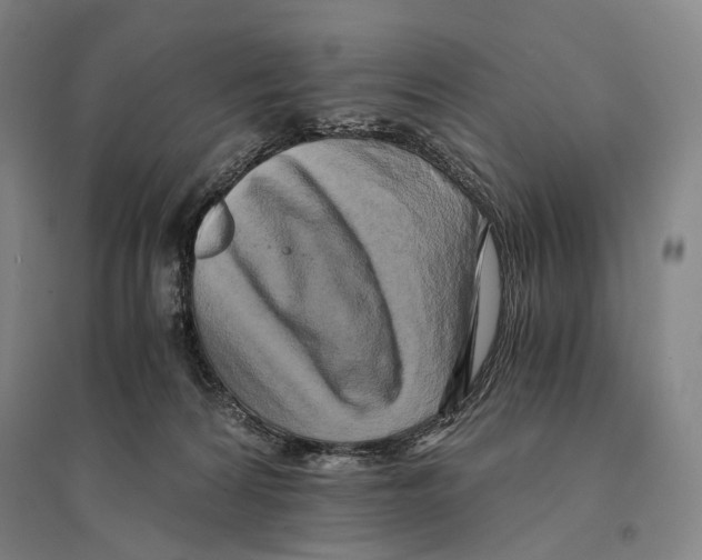 X0000095520224200801111443