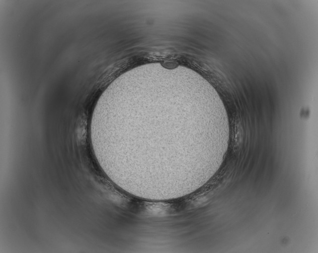 X0000095520226200801111443