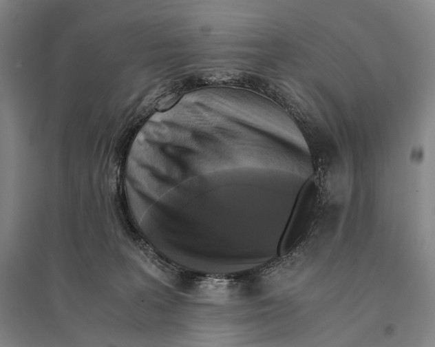 X0000095520227200801111443