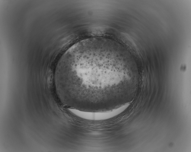 X0000095520228200801111443
