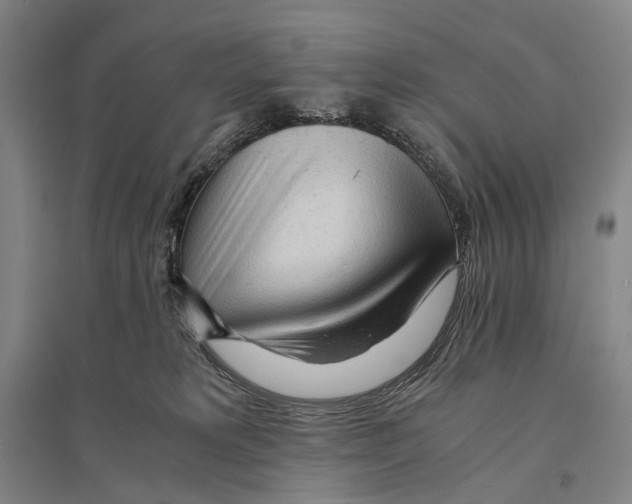 X0000095520229200801111443