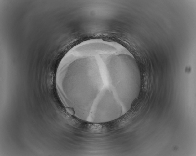 X0000095520230200801111443
