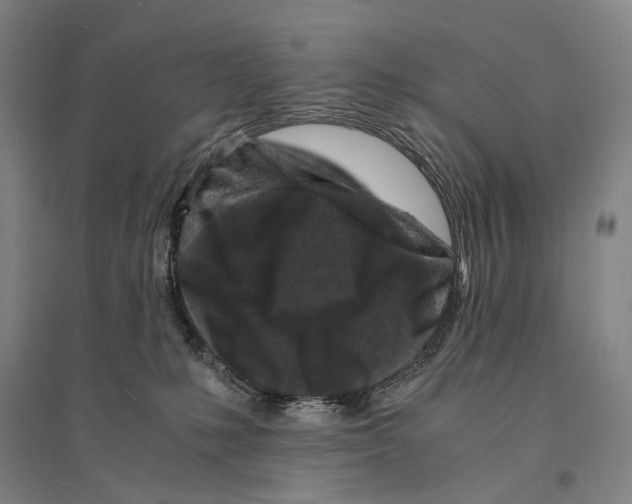 X0000095520231200801111443