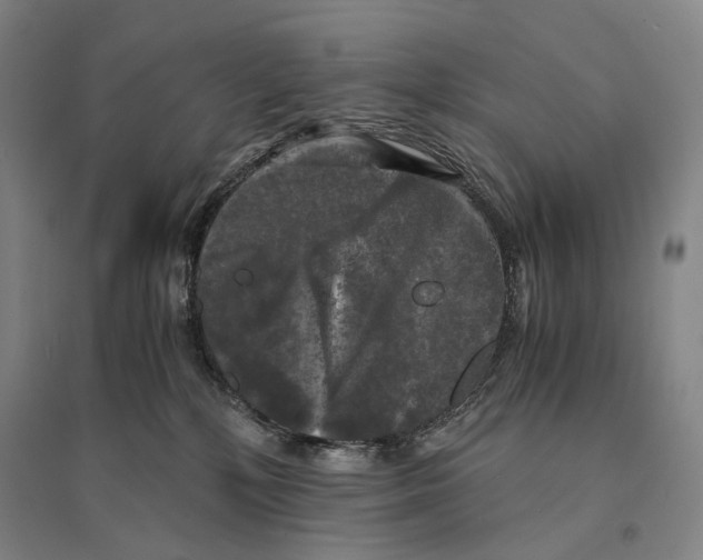 X0000095520232200801111443
