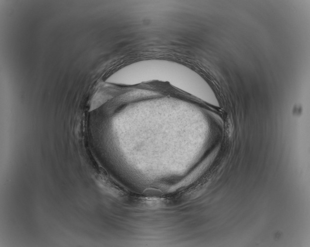 X0000095520233200801111443
