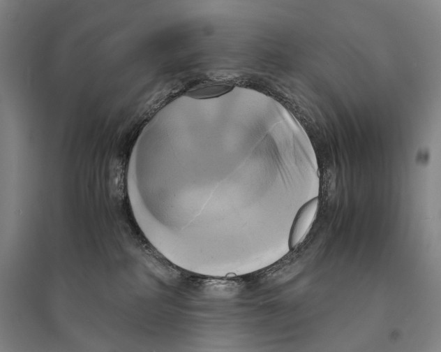 X0000095520234200801111443