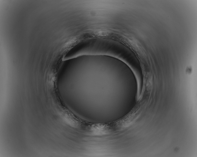 X0000095520235200801111443