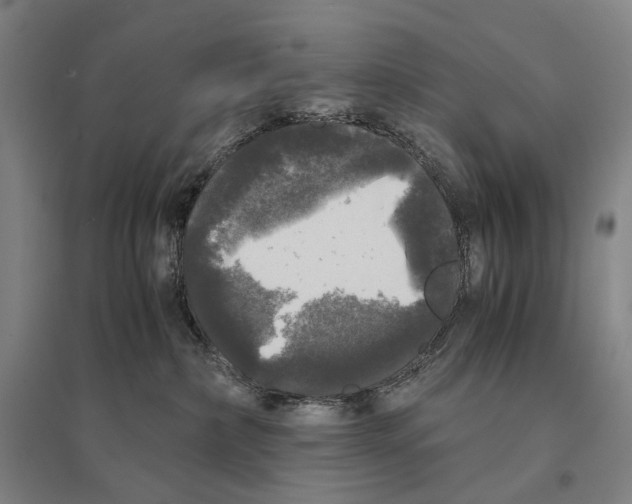 X0000095520236200801111443