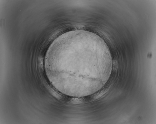X0000095520238200801111443
