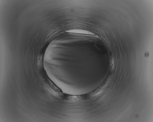X0000095520239200801111443
