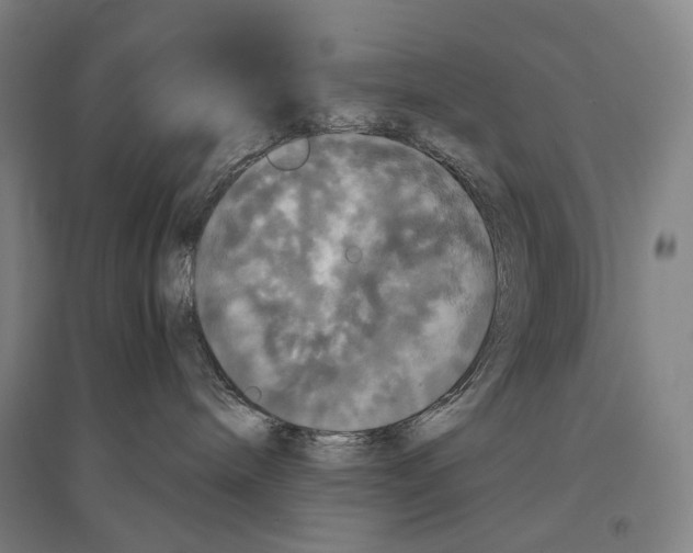 X0000095520240200801111443