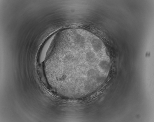X0000095520242200801111442