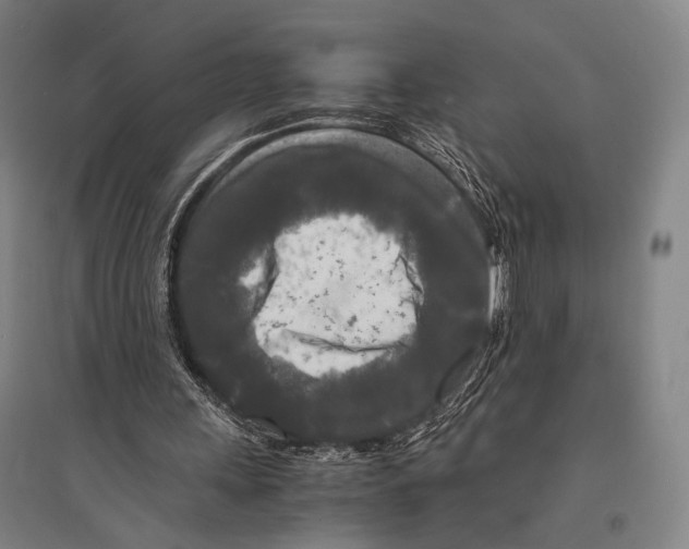 X0000095520243200801111442