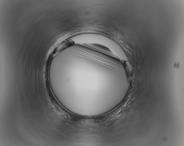 X0000095520244200801111443