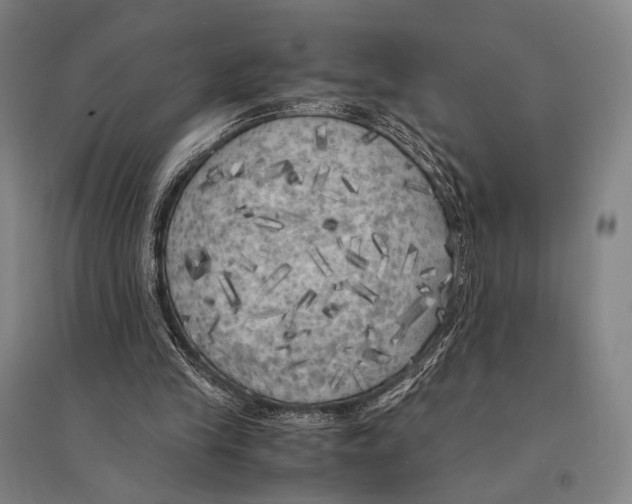 X0000095520245200801111443