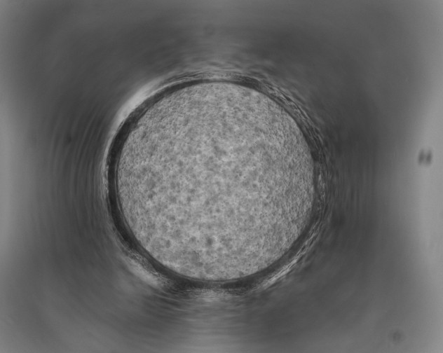 X0000095520246200801111443