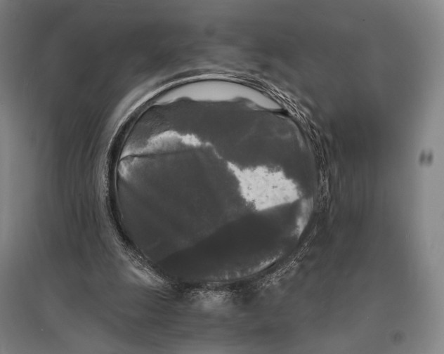X0000095520247200801111443