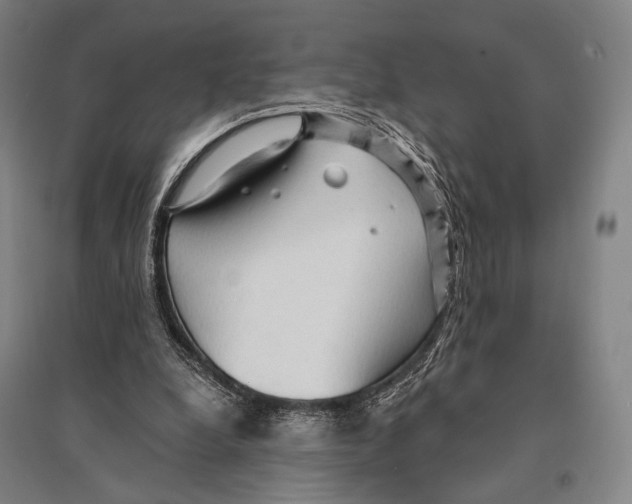 X0000095520248200801111443