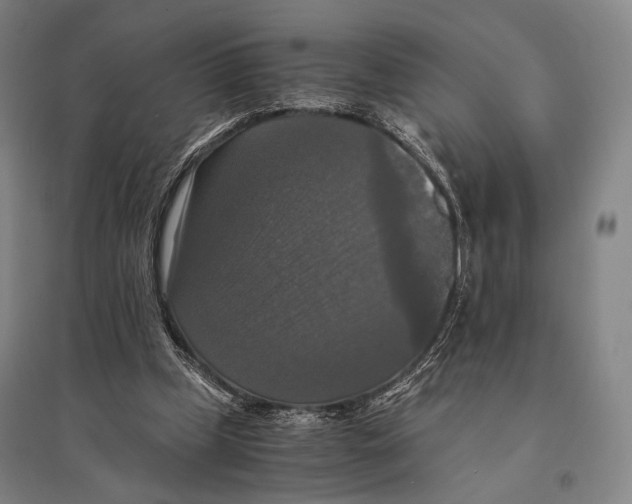 X0000095520249200801111443