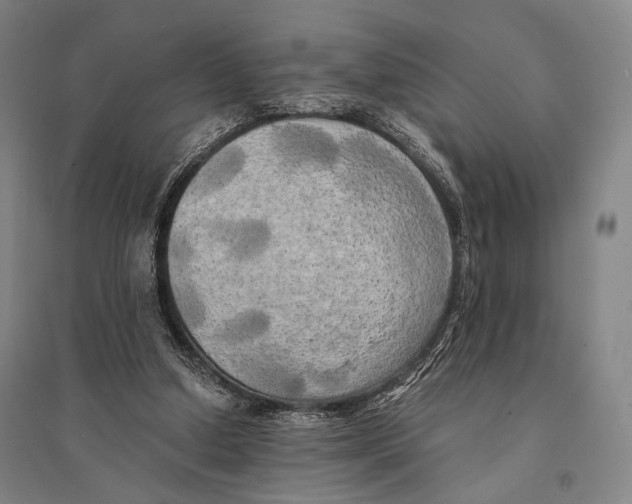 X0000095520250200801111443