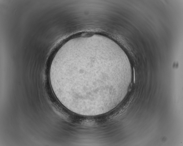 X0000095520252200801111443