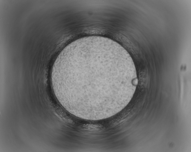 X0000095520255200801111443