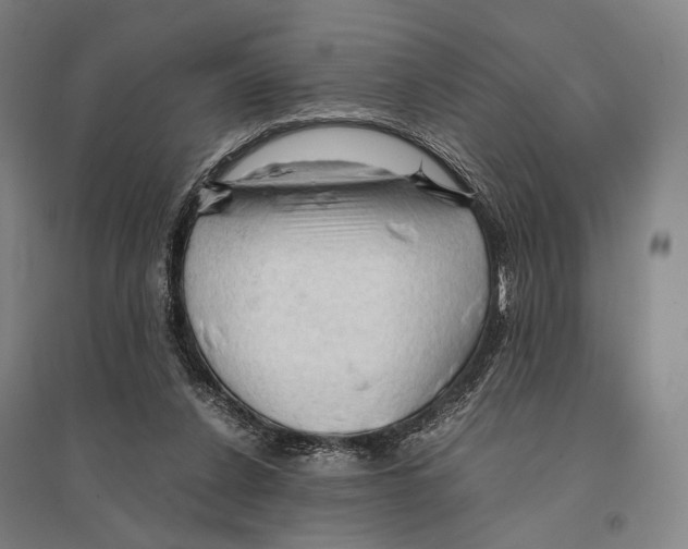 X0000095520256200801111443