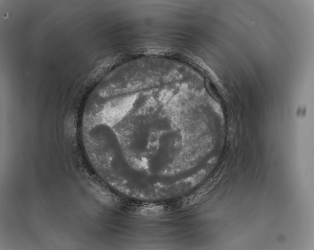X0000095520257200801111443