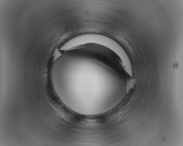 X0000095520260200801111443