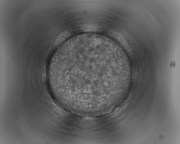 X0000095520261200801111443