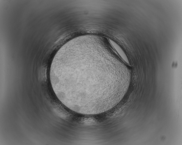 X0000095520262200801111443