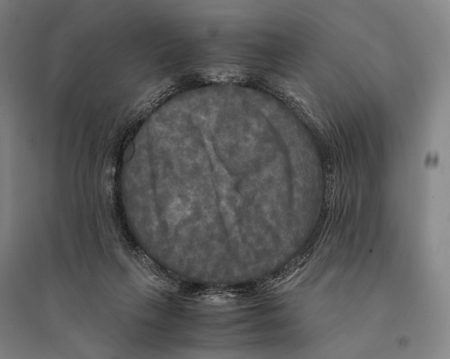 X0000095520263200801111443