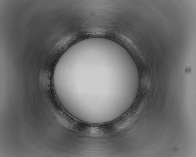 X0000095520264200801111443