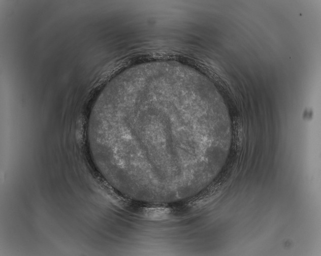 X0000095520266200801111443