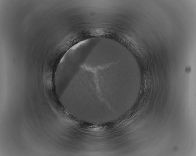 X0000095520267200801111443
