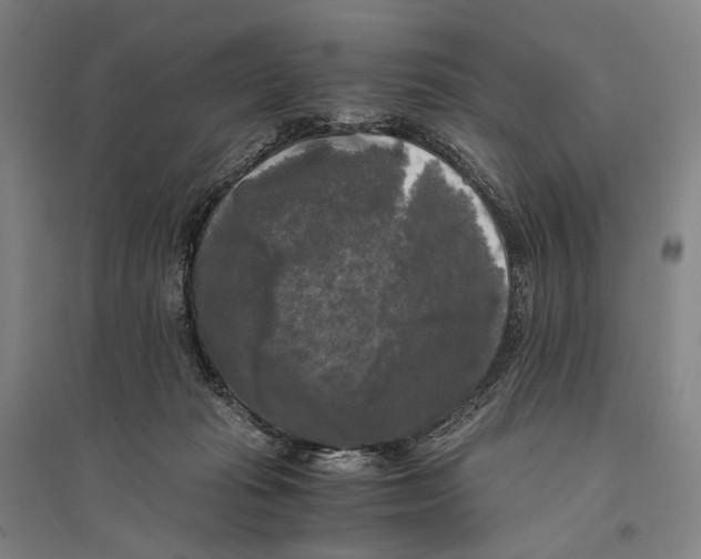 X0000095520269200801111443