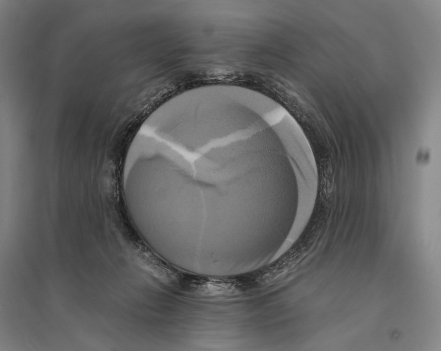 X0000095520270200801111443