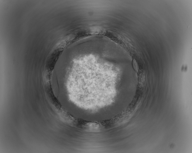 X0000095520272200801111443