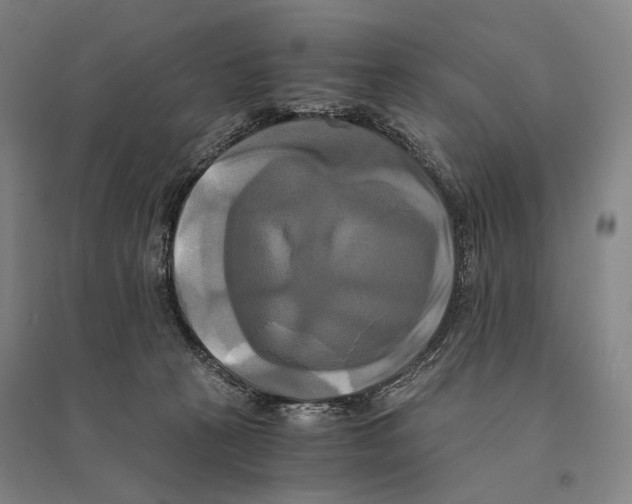 X0000095520273200801111443