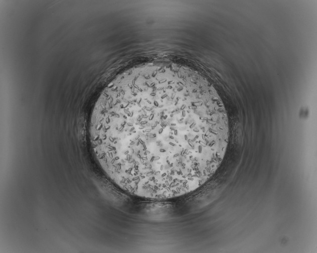 X0000095520274200801111443