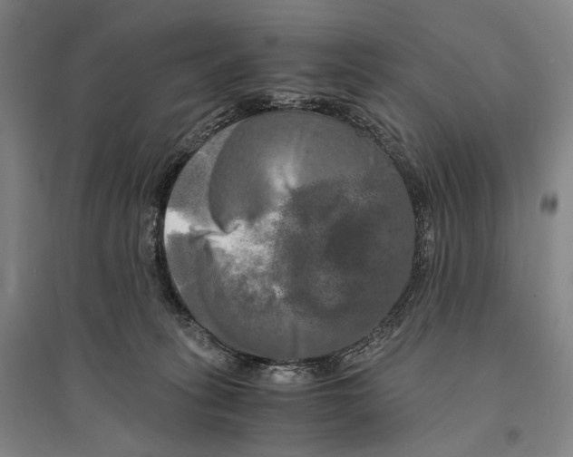 X0000095520275200801111443