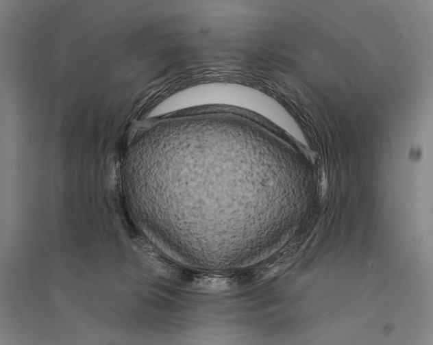 X0000095520276200801111443