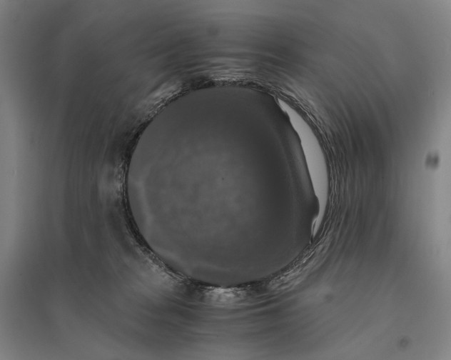 X0000095520277200801111443