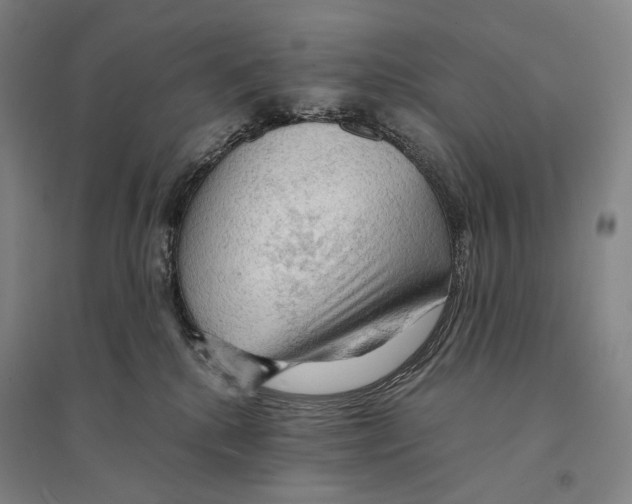 X0000095520280200801111443