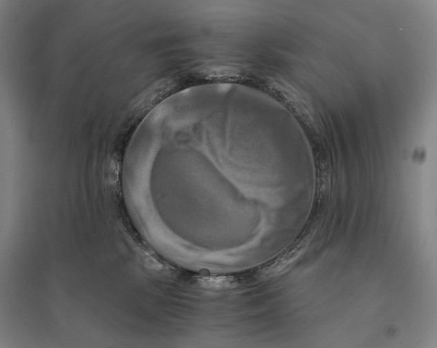 X0000095520281200801111443