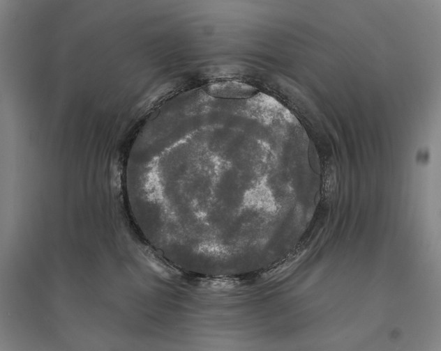 X0000095520282200801111443