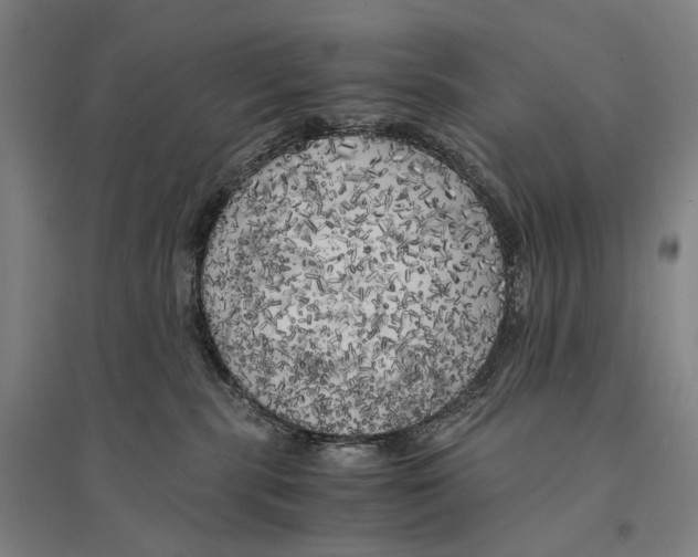X0000095520283200801111443