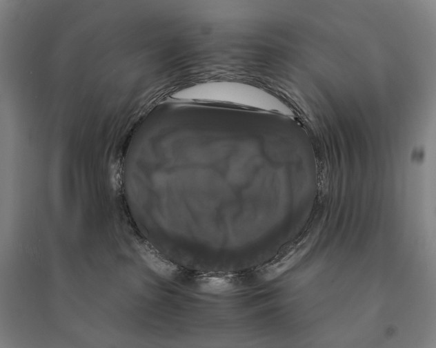 X0000095520285200801111443