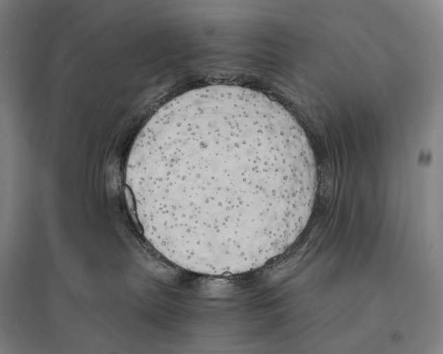 X0000095520287200801111443